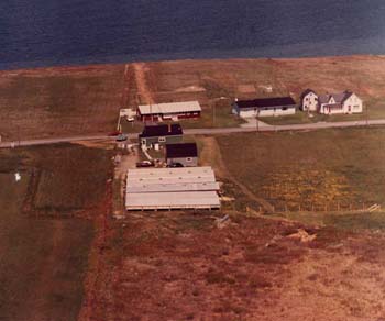 Vue aérienne : la ferme d'élevage de visons de Ivan Blinn à Saulnierville