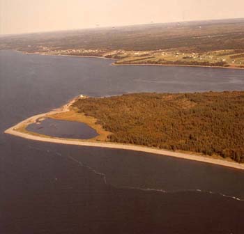 Vue aérienne de Gilbert's Cove et Barton 