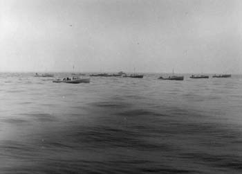 Une flotte de bateaux à la pêche aux thons, Wedgeport 
