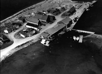 Vue aérienne du quai et de l'usine « Franklyn Canning » à la 